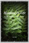 Meaning In Life in the Framework of Eternity cover